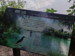 -深圳仙湖植物园