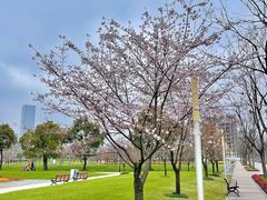-上海山野camping·户外天幕烧烤·团建拓展营地