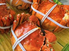 -蟹天蟹地农家菜·阳澄湖大闸蟹(浅水湾店)