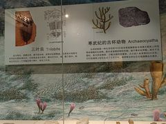 -辽宁古生物博物馆