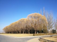 -北京拉斐特城堡酒店