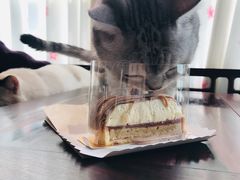 -熊叔熊婶面包房(团结湖店)