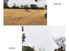 -上海崇明金茂凯悦酒店