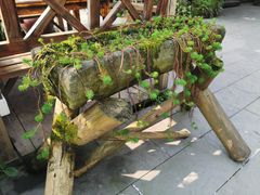 -青城甲(青城山店)