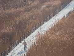 -野鸭湖国家湿地公园