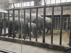 -石家庄市动物园