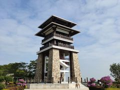 -大湾区中央湿地公园
