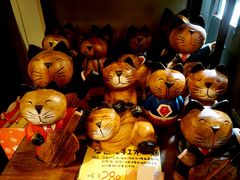 -猫咪博物馆(顶澳仔猫街店)