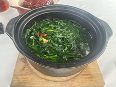 -侨美·唐荔园·40年地道粤菜