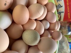 -马陆小张葡萄园农家乐