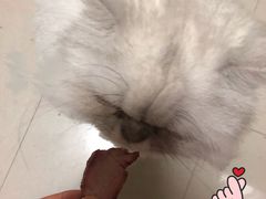 -永祥烧腊餐厅(虹口店)