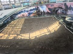 -诸城市恐龙博物馆