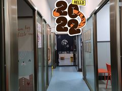 -伟伟宠物医院·瑞派猫友好医院·猫科(光谷店)