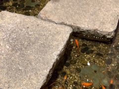 -邈墨茶馆(凤起路店)