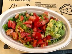 -油梨树AVOCADO TREE(顺义新国展店)