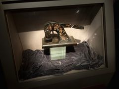 -上海电信博物馆