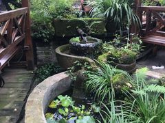 景观位-青城甲(青城山店)