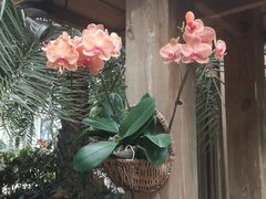 -南山植物园