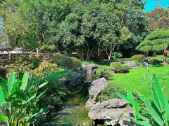 -新荣记(西溪湿地店)