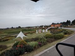 -空港花田景区