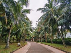 -白沙门生态公园