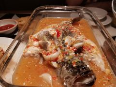 -佬肥猫(国华广场店)