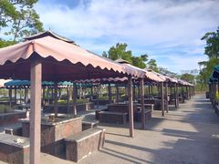 -春花秋色城市公园