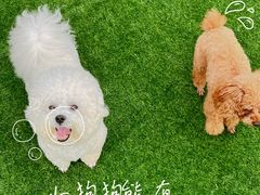 -海韵乐宿露营民宿