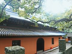 -普陀山风景名胜区-法雨禅寺