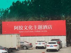 -东阿阿胶文化酒店