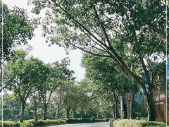 -嘉和K6温泉微度假