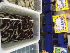 -蚝得喜海鲜(东城店)