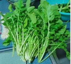 -姜美堂·蒸姜除湿の纤体美颜馆