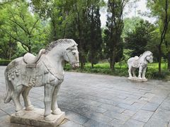 -洛阳白马寺