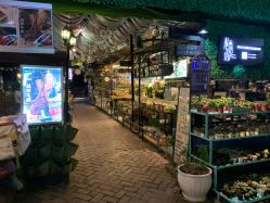 -三色锦婚礼定制