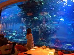 -迪拜帆船酒店海底餐厅