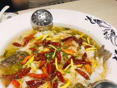 招牌酸菜鱼-畅润江小鱼·老坛子酸菜鱼(富弘广场店)