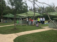 -上海长兴岛郊野公园