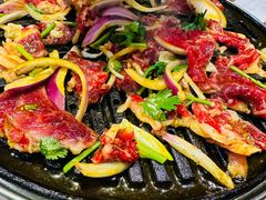 -齐函杨佳清真烤肉(鑫海店)