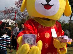 -天适樱花悠乐园