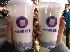 -一只酸奶牛(八一路店)