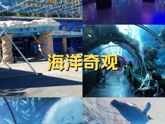 -洛阳龙门海洋馆