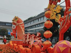 -棠湖公园