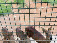 -泉州海丝野生动物世界