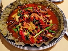 -江味龙虾馆·裸蓝龙虾(南山店)