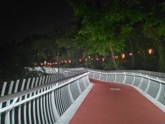-金鸡山公园