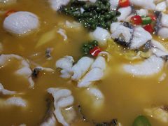 -青花椒花椒鱼(合生汇店)