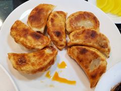 泡菜饺-桃园中华料理炸酱面(燕儿岛路店)