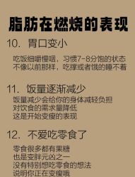 -Fundi张玉珊修身堂·indiba·BTL科技瘦身