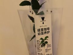 -天河体育中心